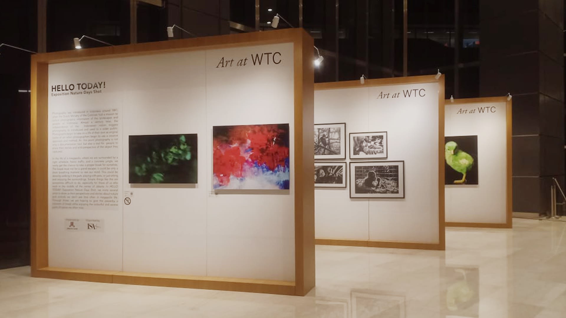 Hello Today!: WTC 3