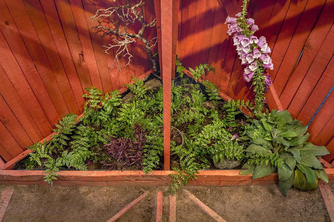 Installation view of the exhibition Enfermedades Preciosas by Cecilia Avendaño at Sala de Arte CCU. Santiago, October 2019. Credit: Sebastián González, courtesy of Isabel Croxatto Galería.