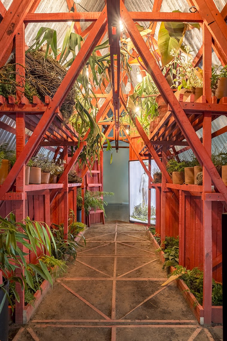 Installation view of the exhibition Enfermedades Preciosas by Cecilia Avendaño at Sala de Arte CCU. Santiago, October 2019. Credit: Sebastián González, courtesy of Isabel Croxatto Galería.