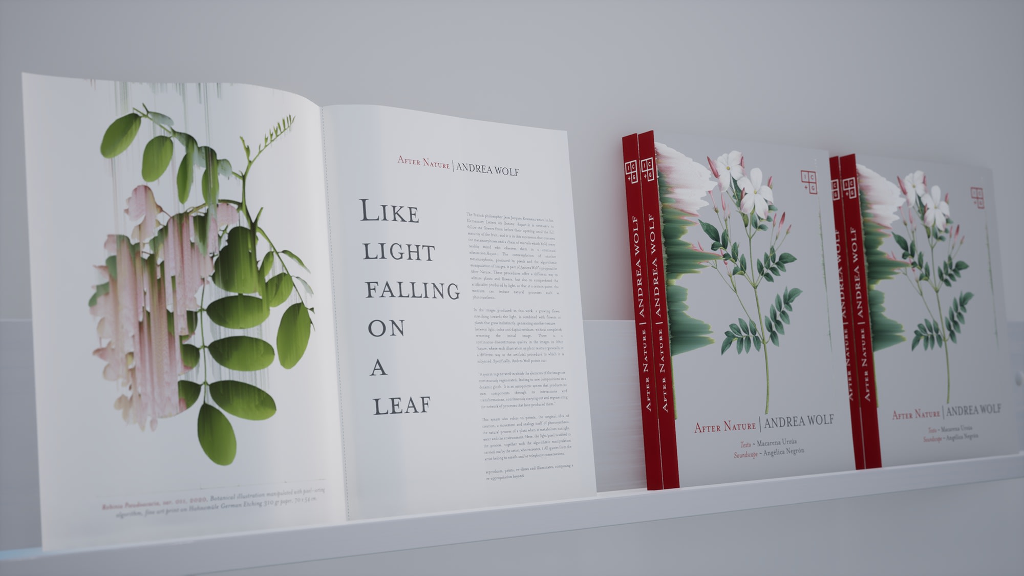 Virtual installation view of the exhibition After Nature by Andrea Wolf, presented by Isabel Croxatto Galería at ICG+. September, 2020. Credit: deeptime.art, courtesy of Isabel Croxatto Galería.