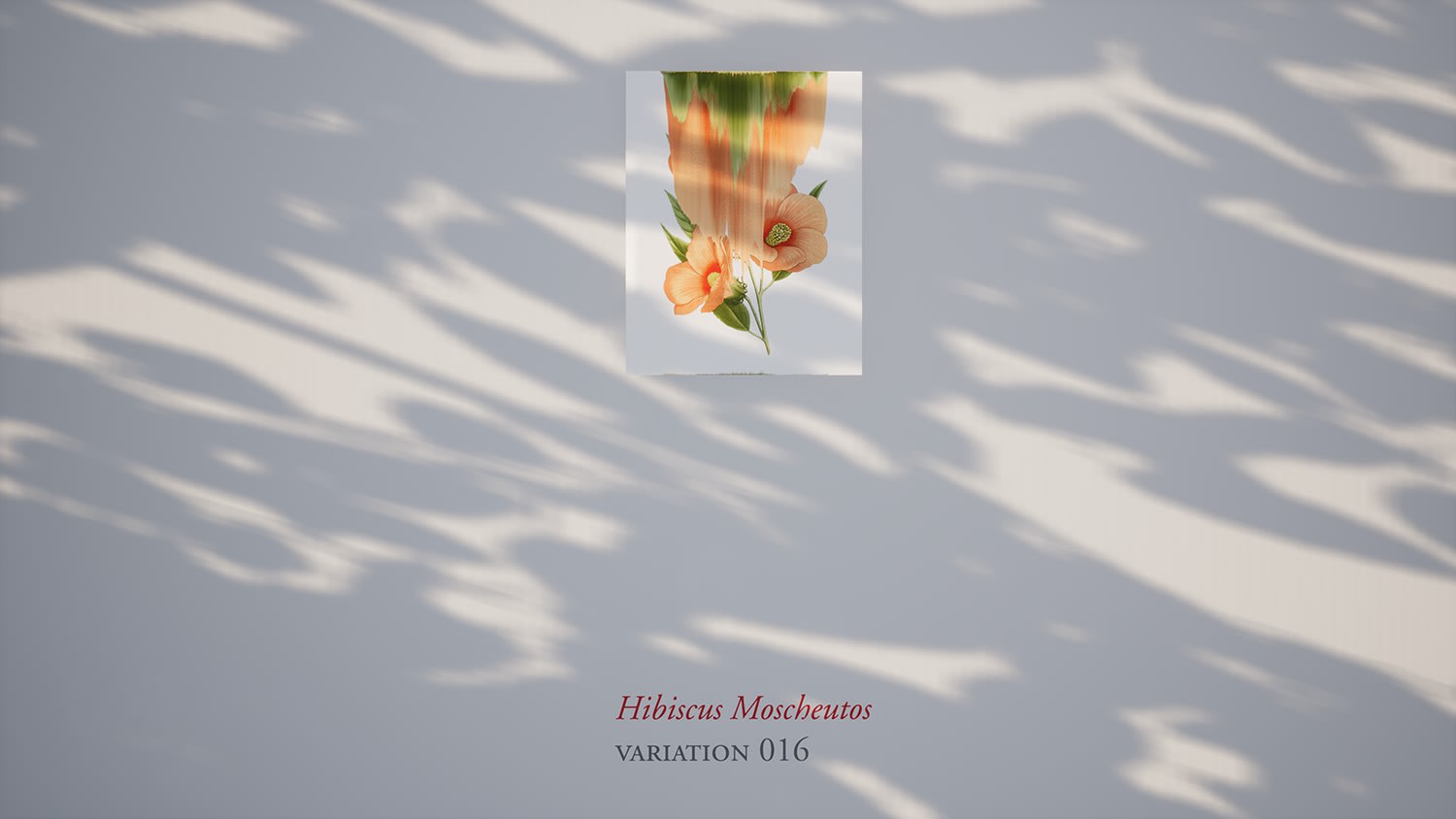 Virtual installation view of the exhibition After Nature by Andrea Wolf, presented by Isabel Croxatto Galería at ICG+. September, 2020. Credit: deeptime.art, courtesy of Isabel Croxatto Galería.