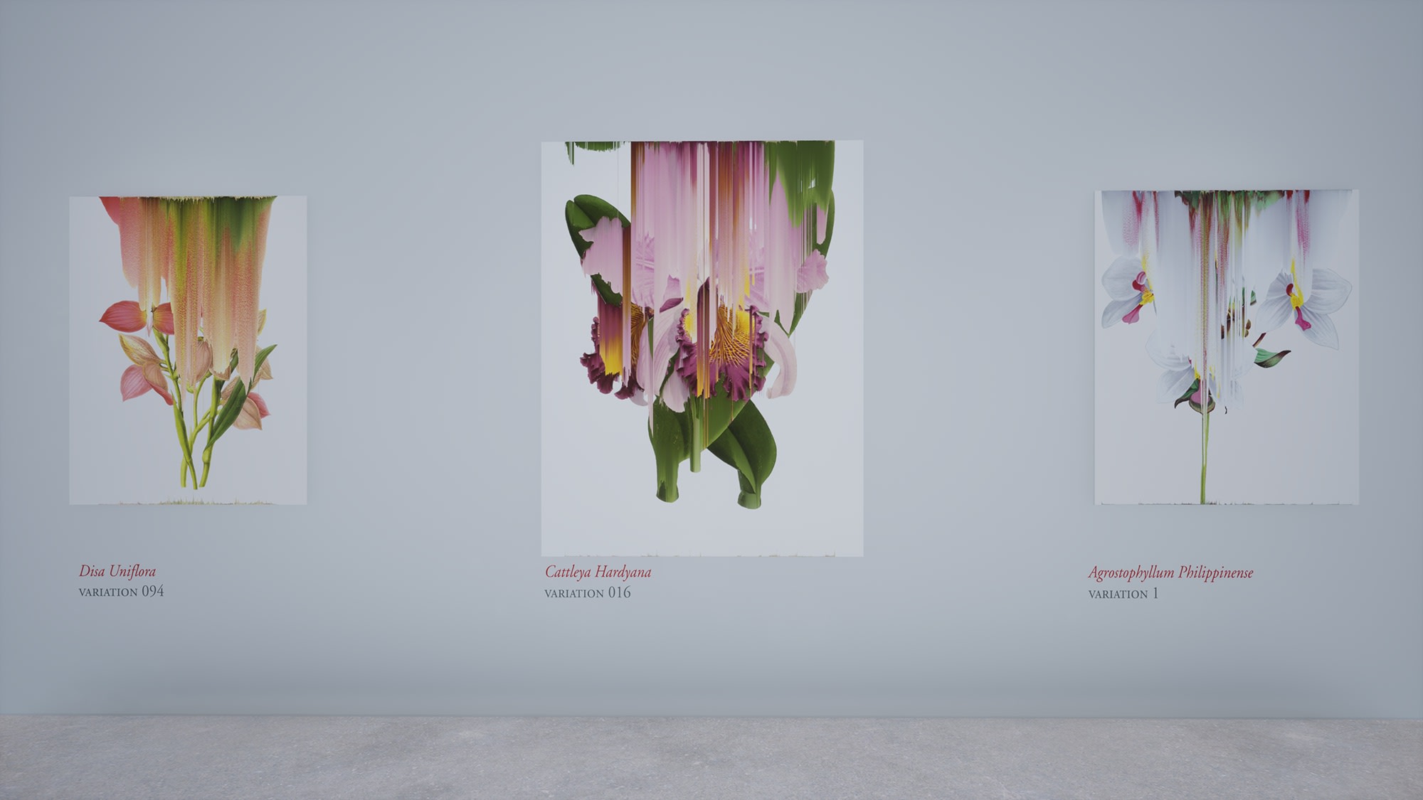 Virtual installation view of the exhibition After Nature by Andrea Wolf, presented by Isabel Croxatto Galería at ICG+. September, 2020. Credit: deeptime.art, courtesy of Isabel Croxatto Galería.