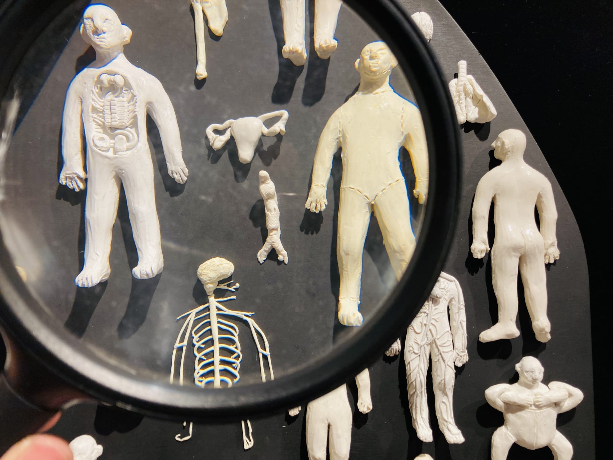 Ex-Voto | Fernanda Núñez