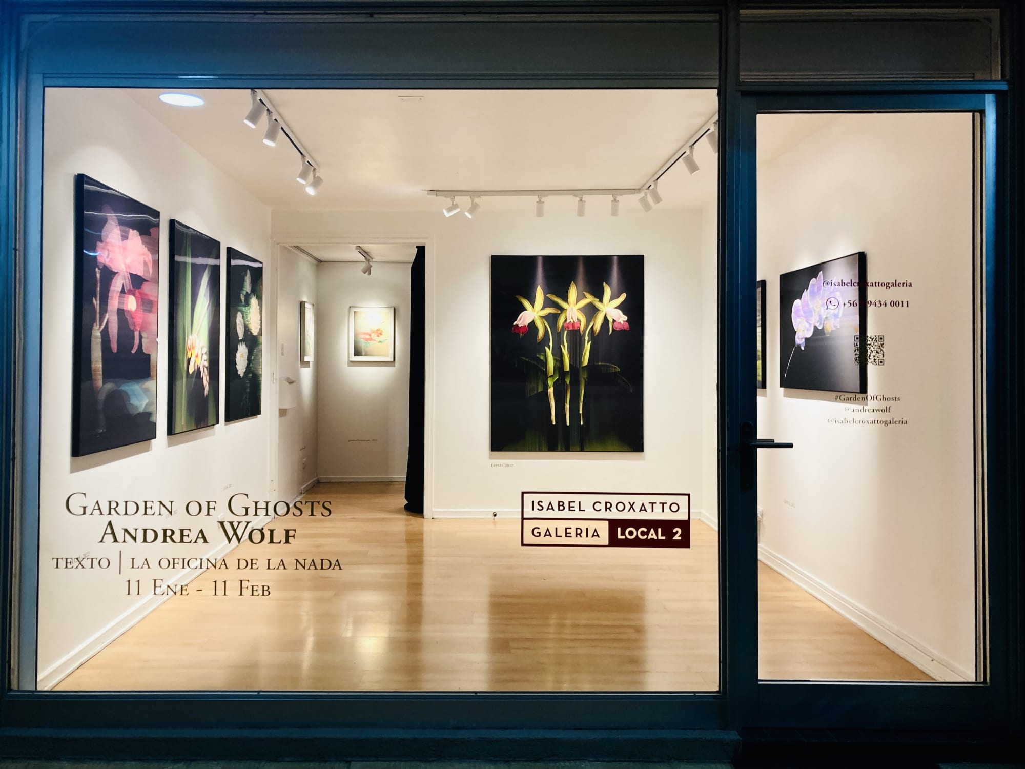 Garden of Ghosts | Andrea Wolf