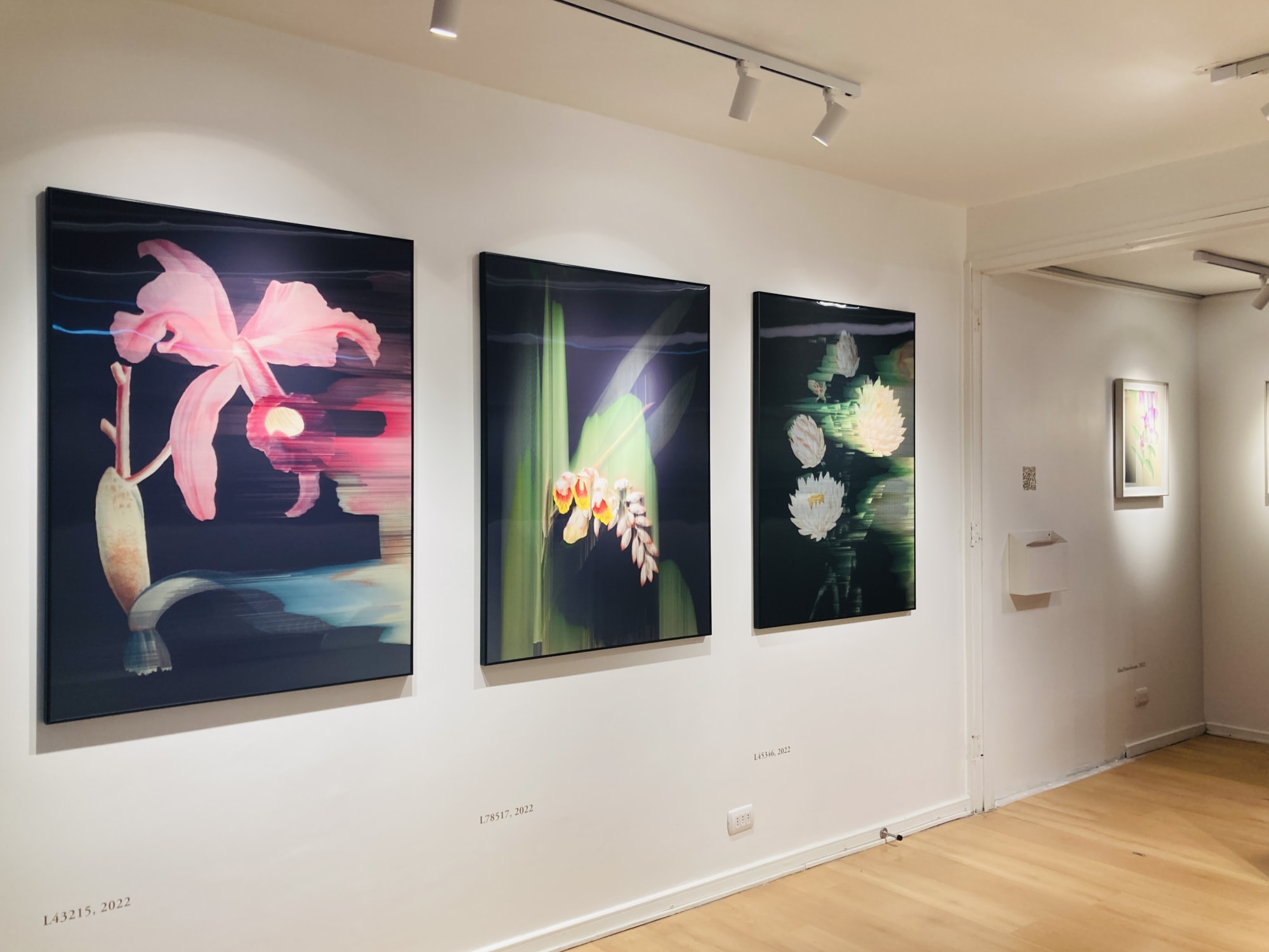 Garden of Ghosts | Andrea Wolf