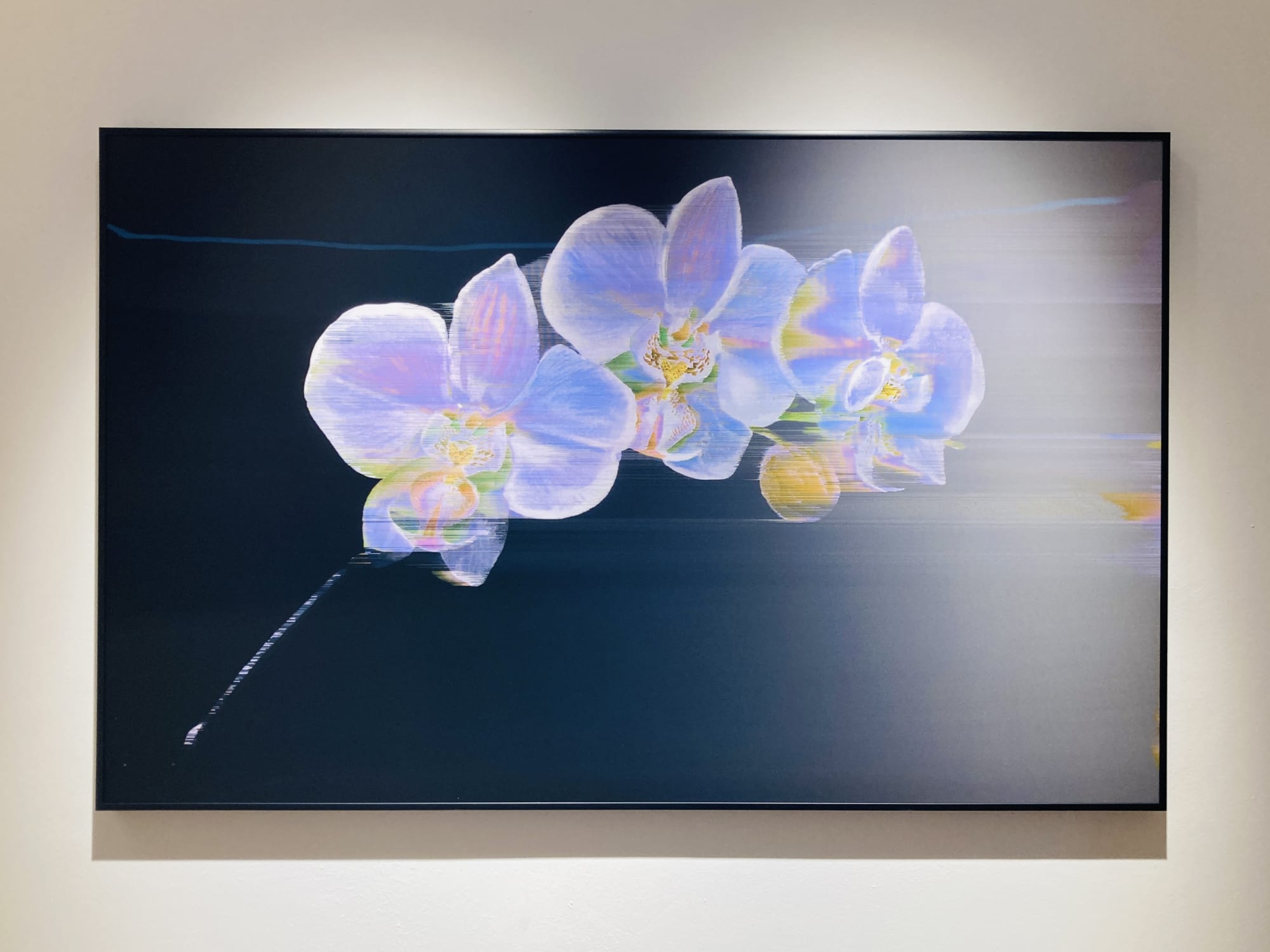 Garden of Ghosts | Andrea Wolf