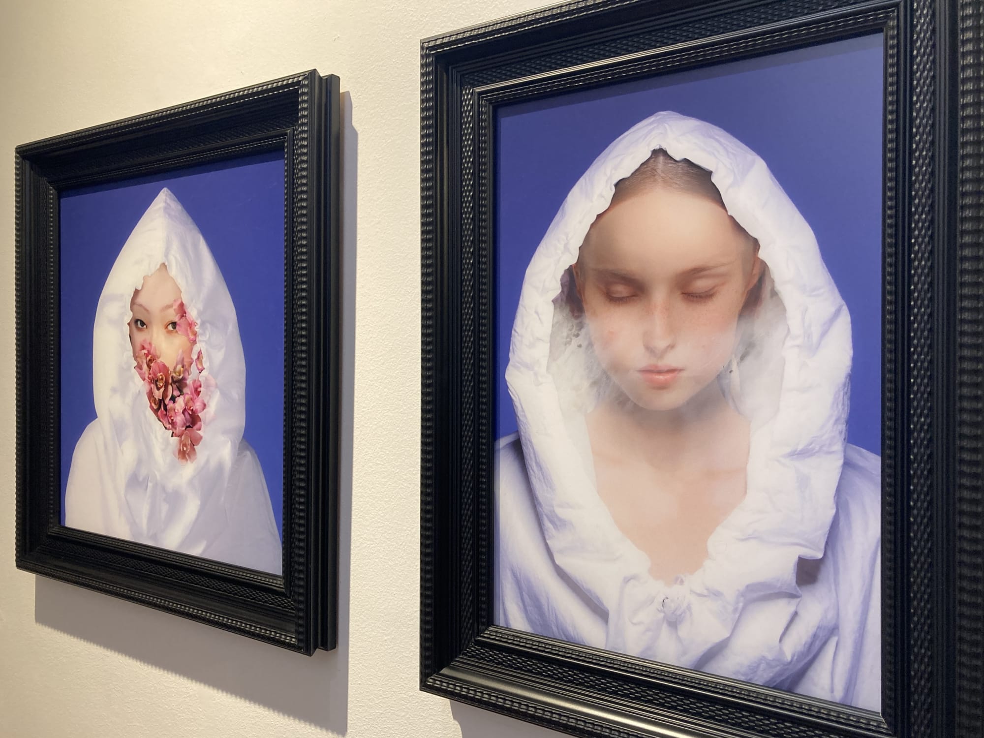 Chrysalis | Cecilia Avendaño