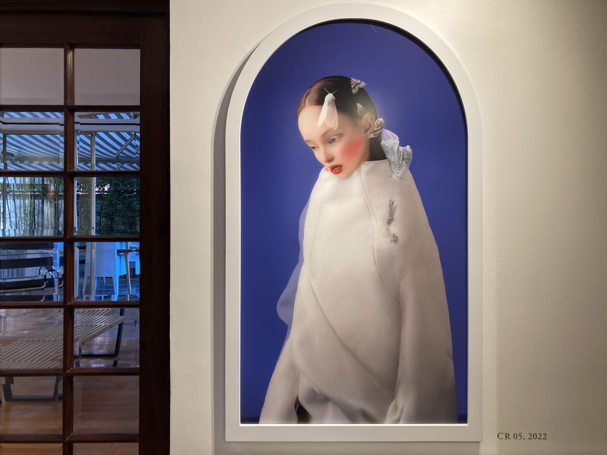 Chrysalis | Cecilia Avendaño