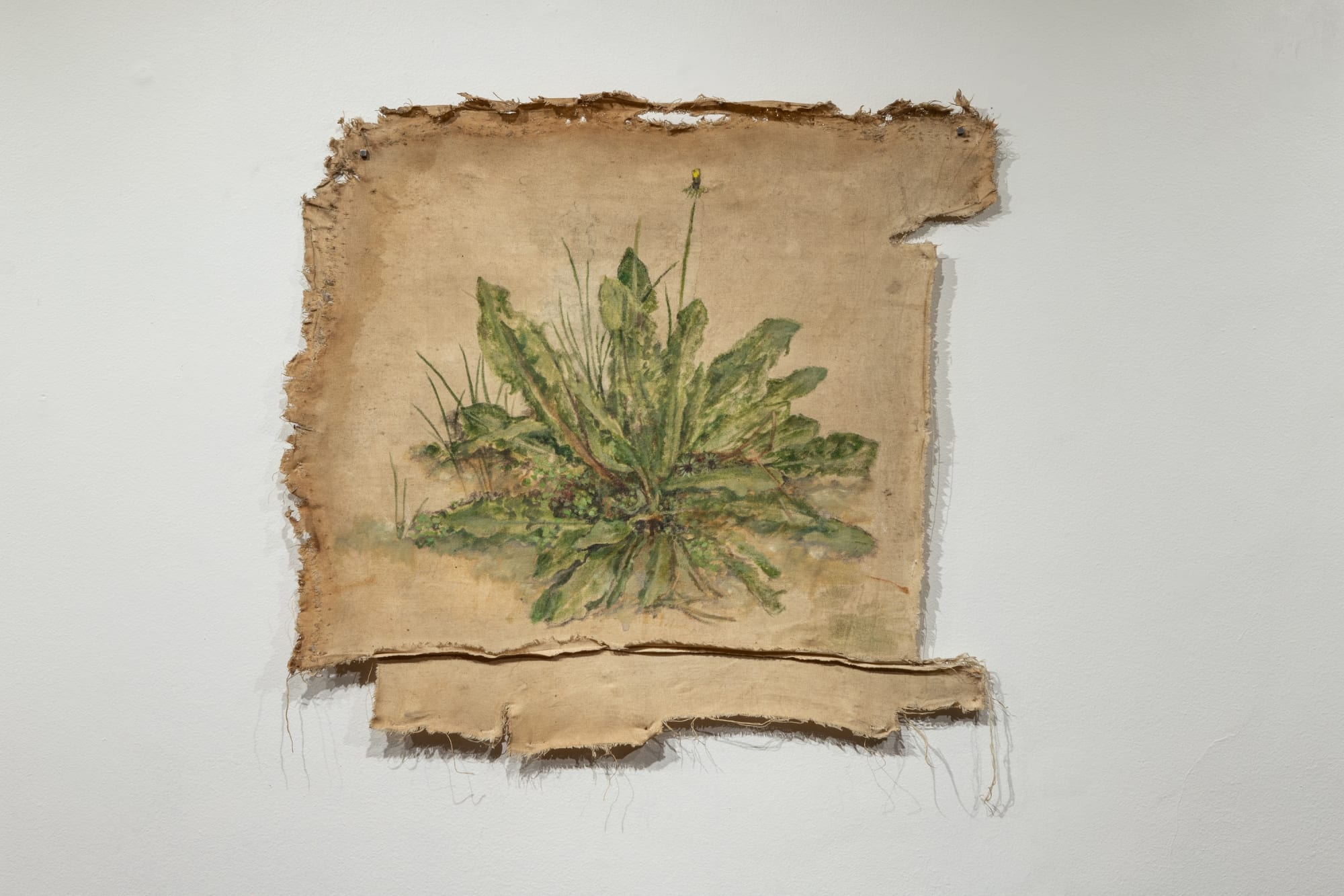 La Casa por la Ventana