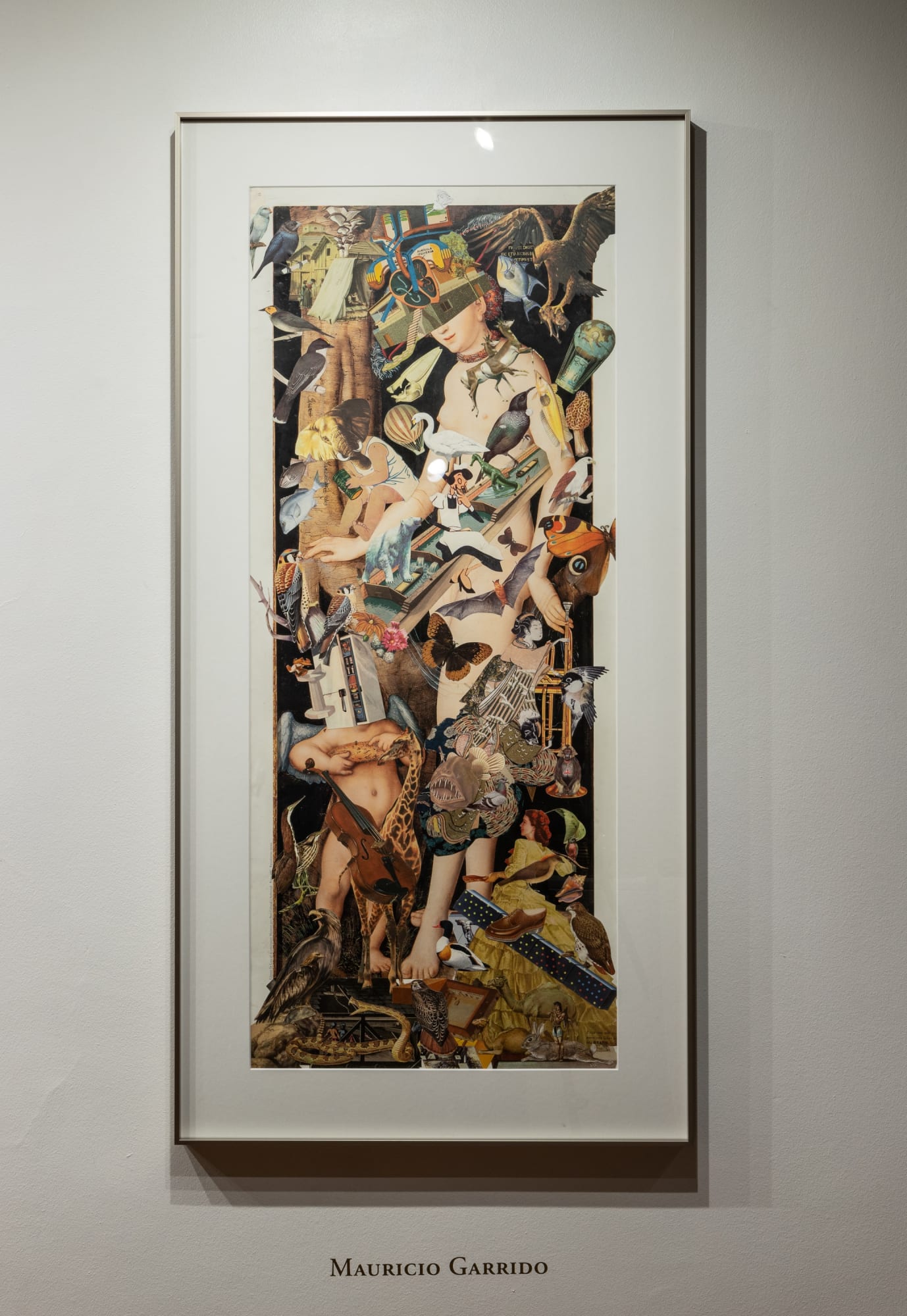 La Casa por la Ventana