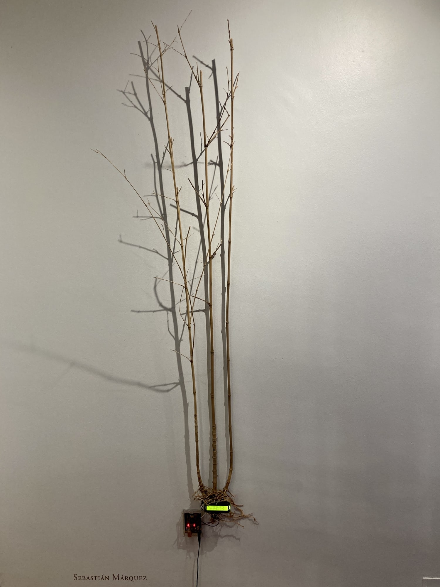 POSTESCUELA, Transcripciones de Lugares por Venir