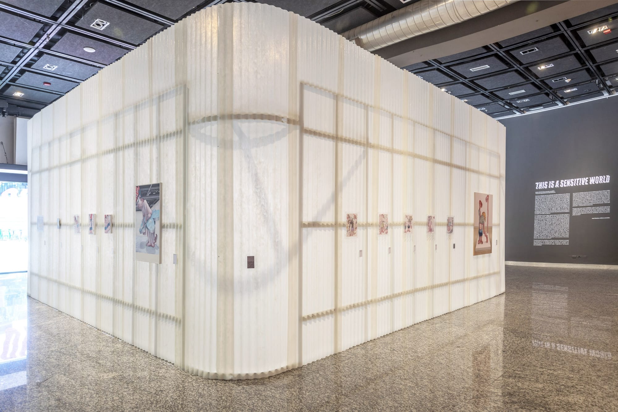 This Is A Sensitive World | Carolina Muñoz