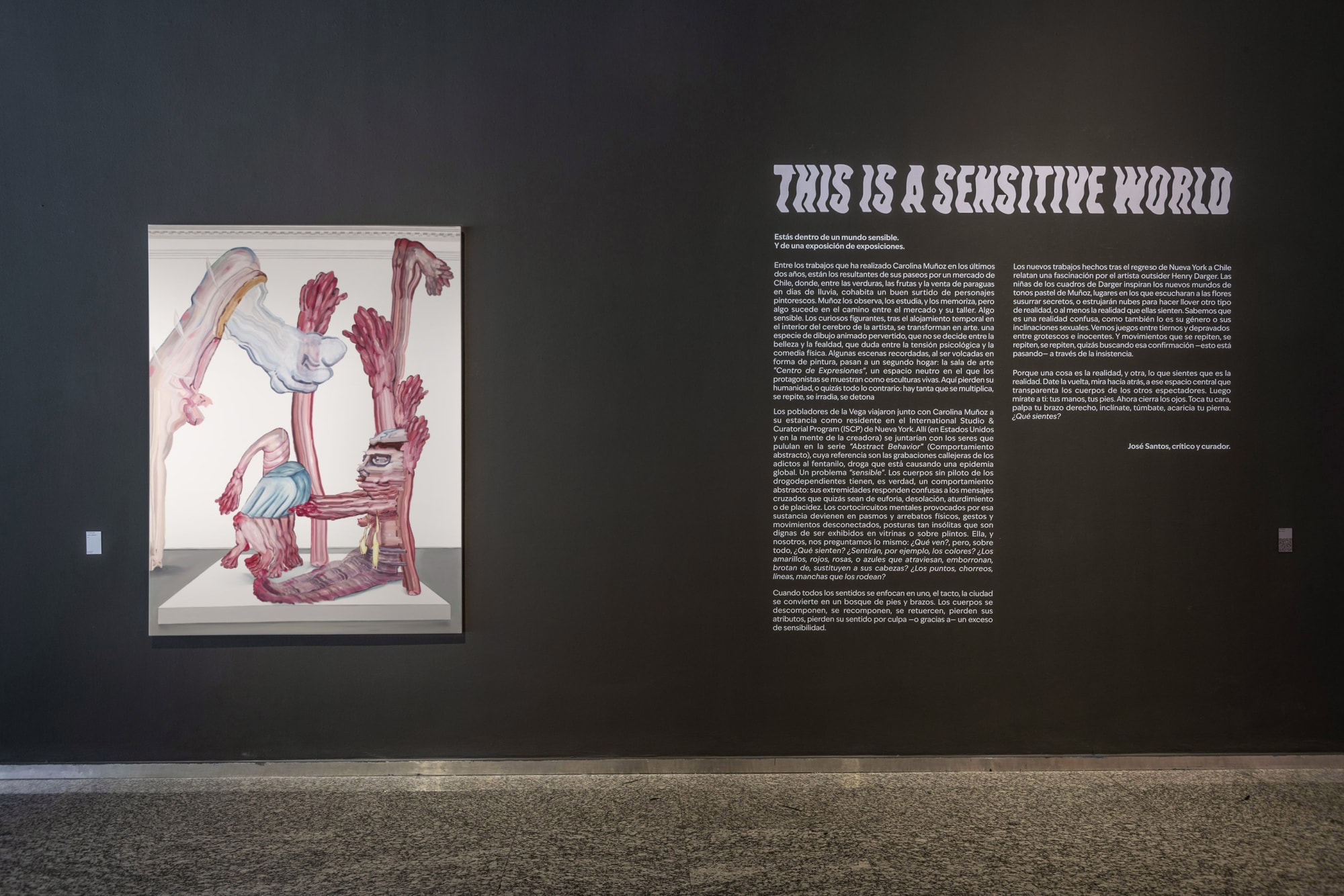 This Is A Sensitive World | Carolina Muñoz