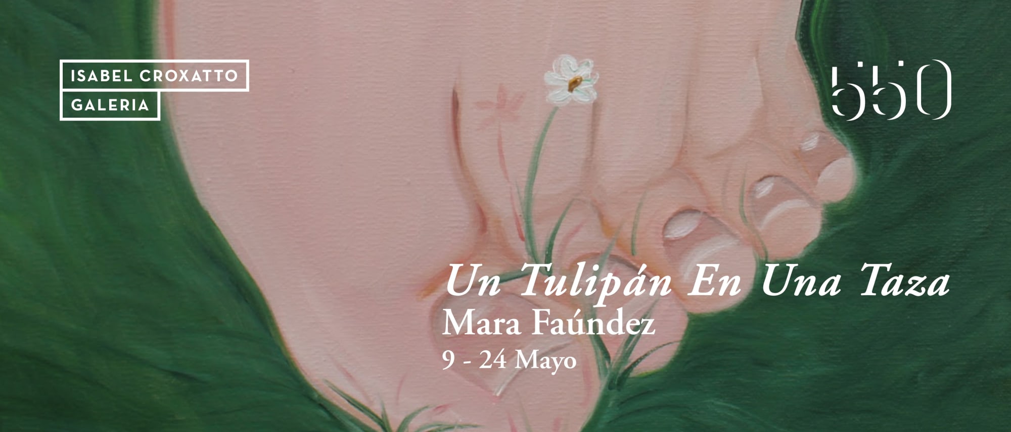 UN TULIPAN EN UNA TAZA | MARA FAUNDEZ
