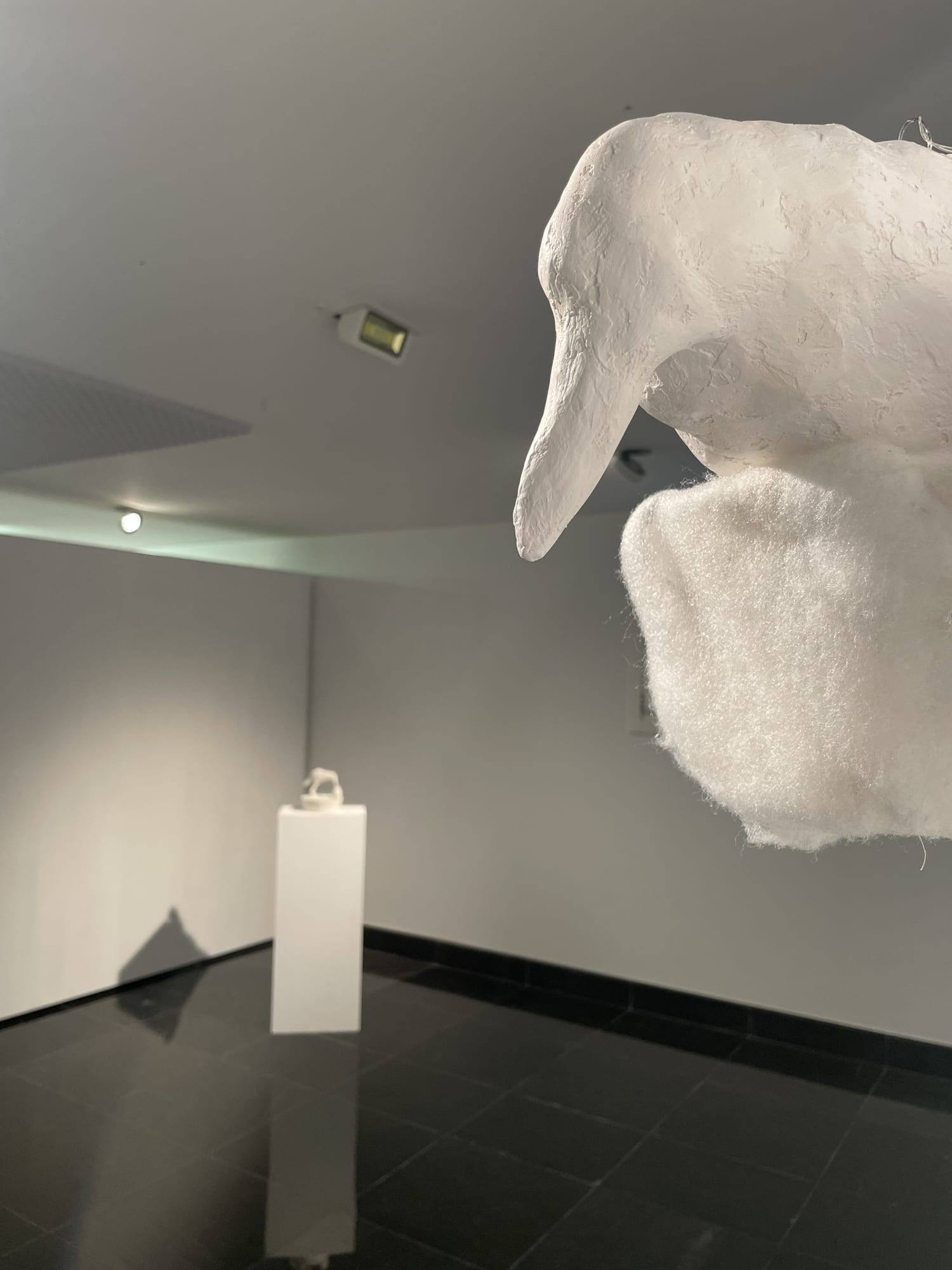 The virtue of beauty