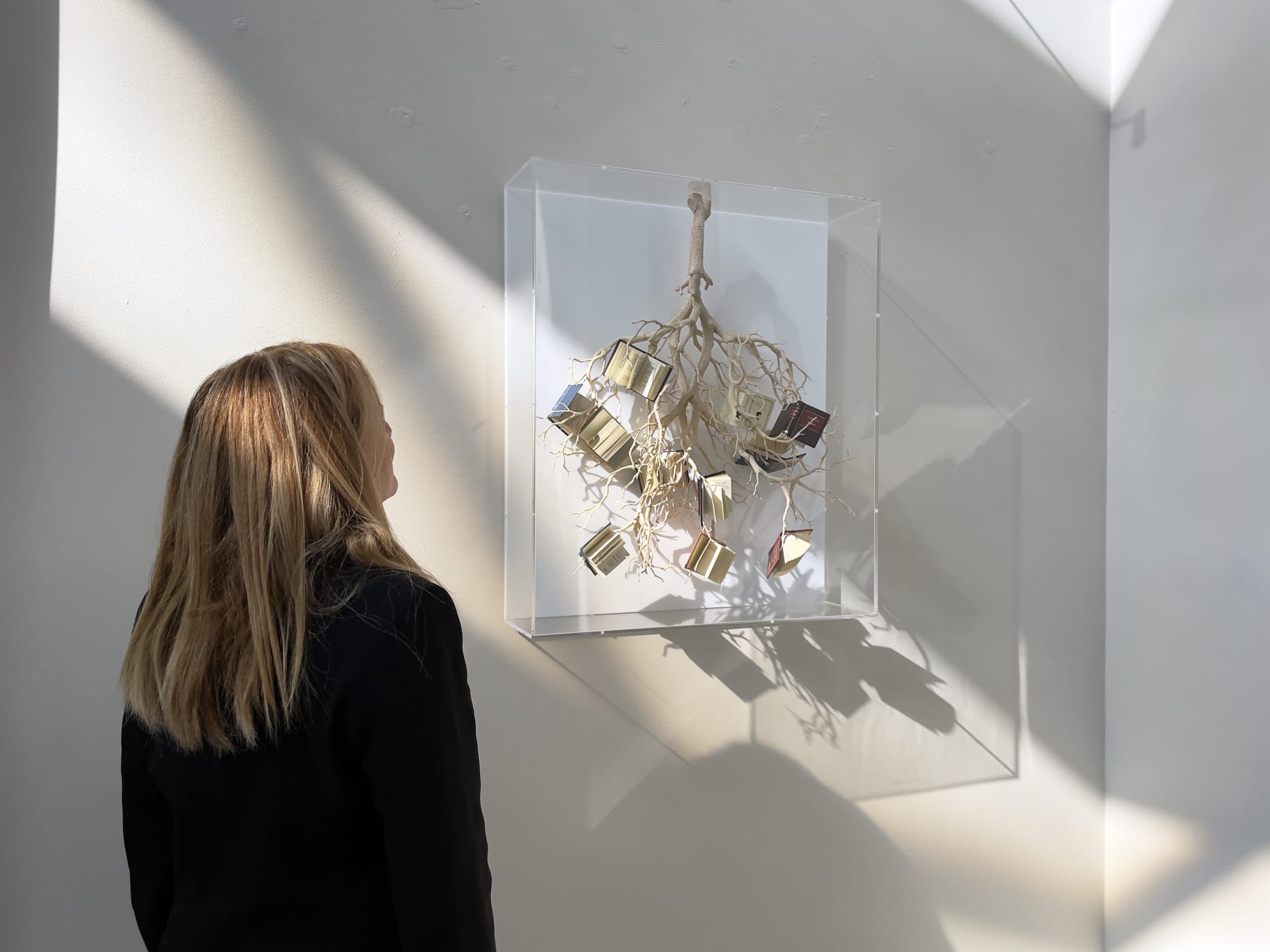 Stardust, a universal poem