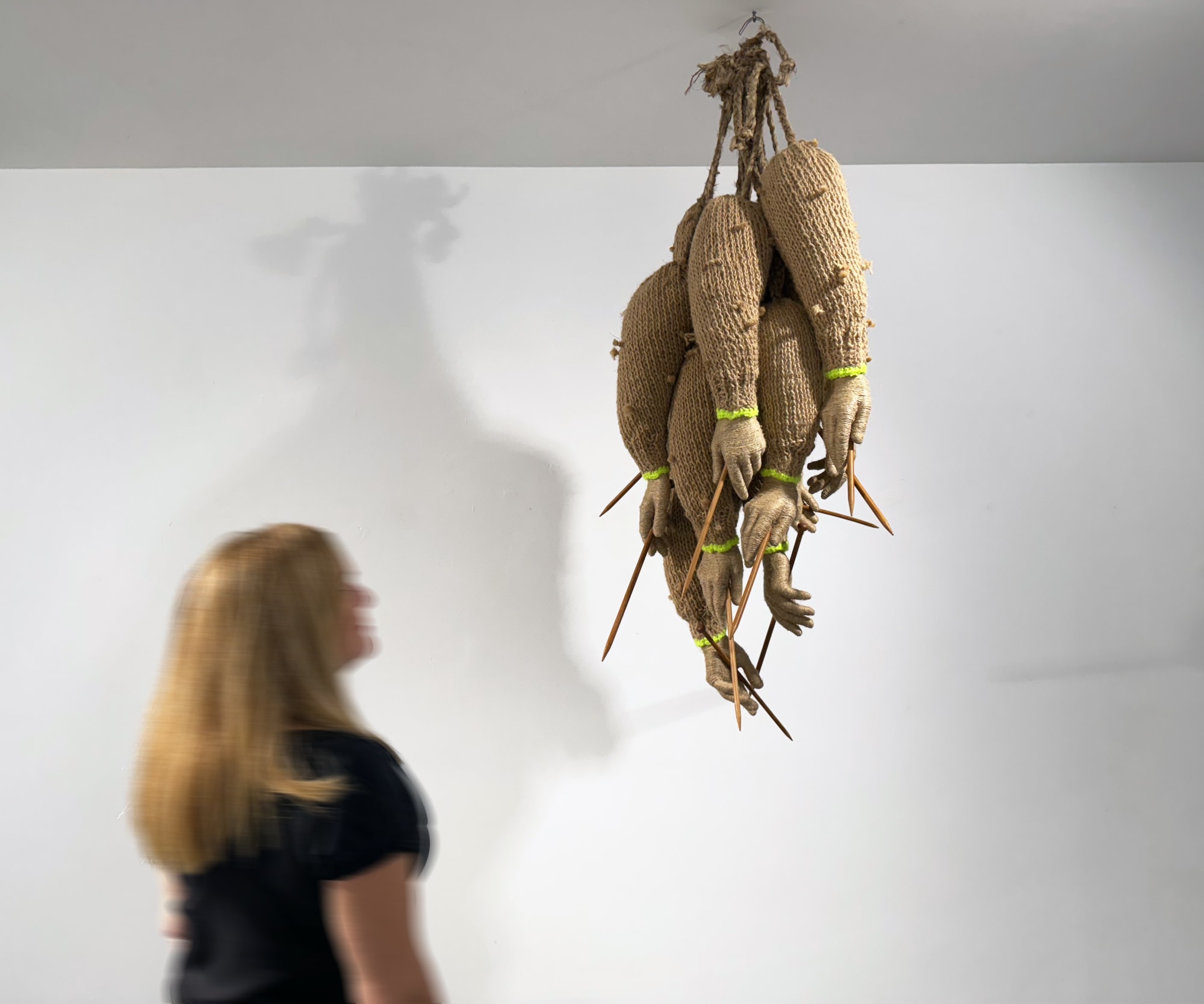 Symphony of Disruption