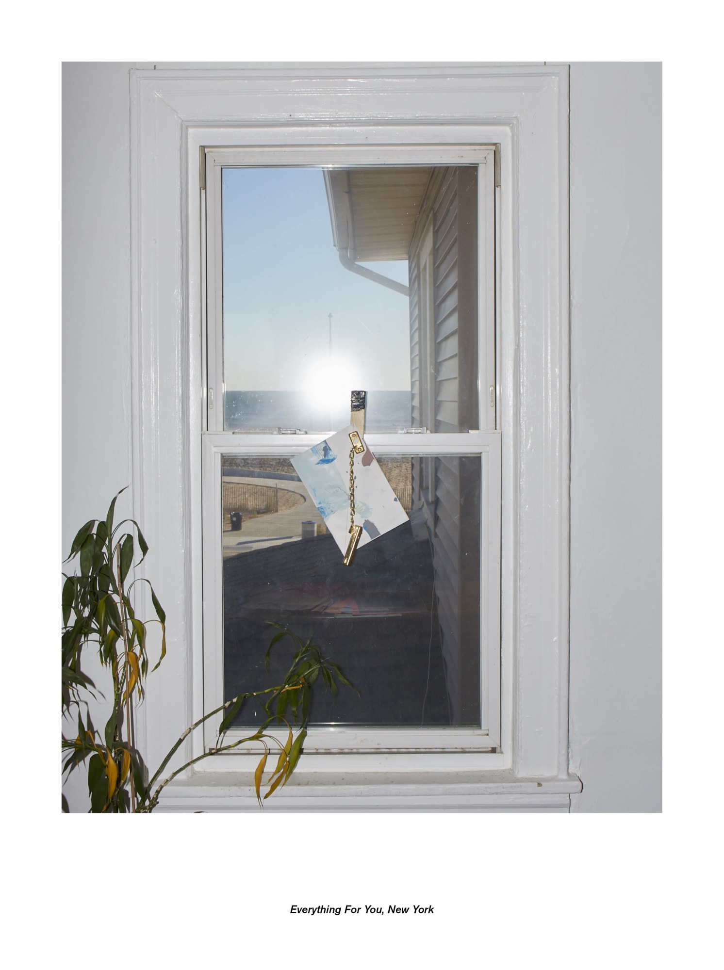 Jan De Cock Exhibition Everything For You, New York