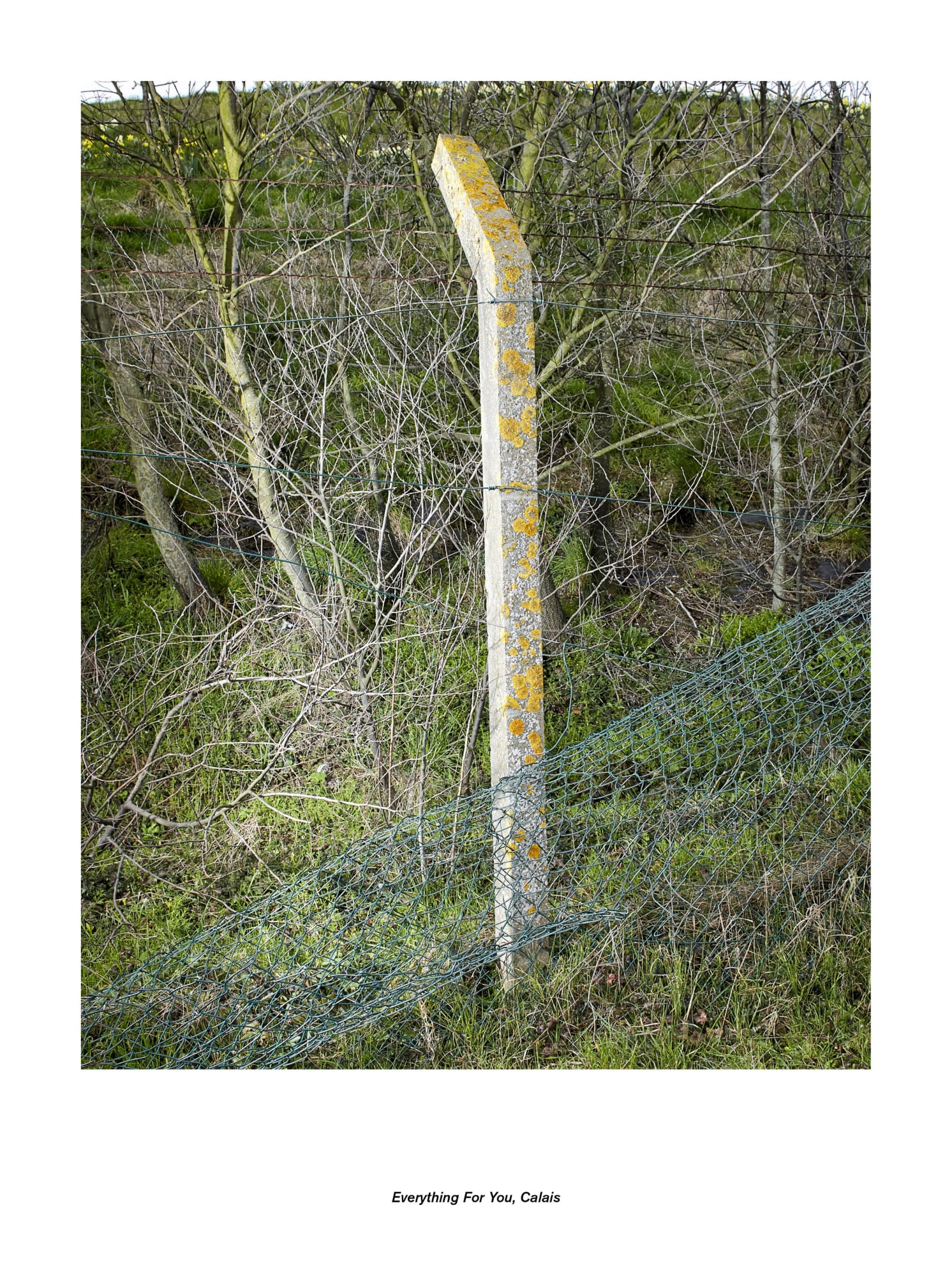 Jan De Cock Exhibition Everything For You, Calais