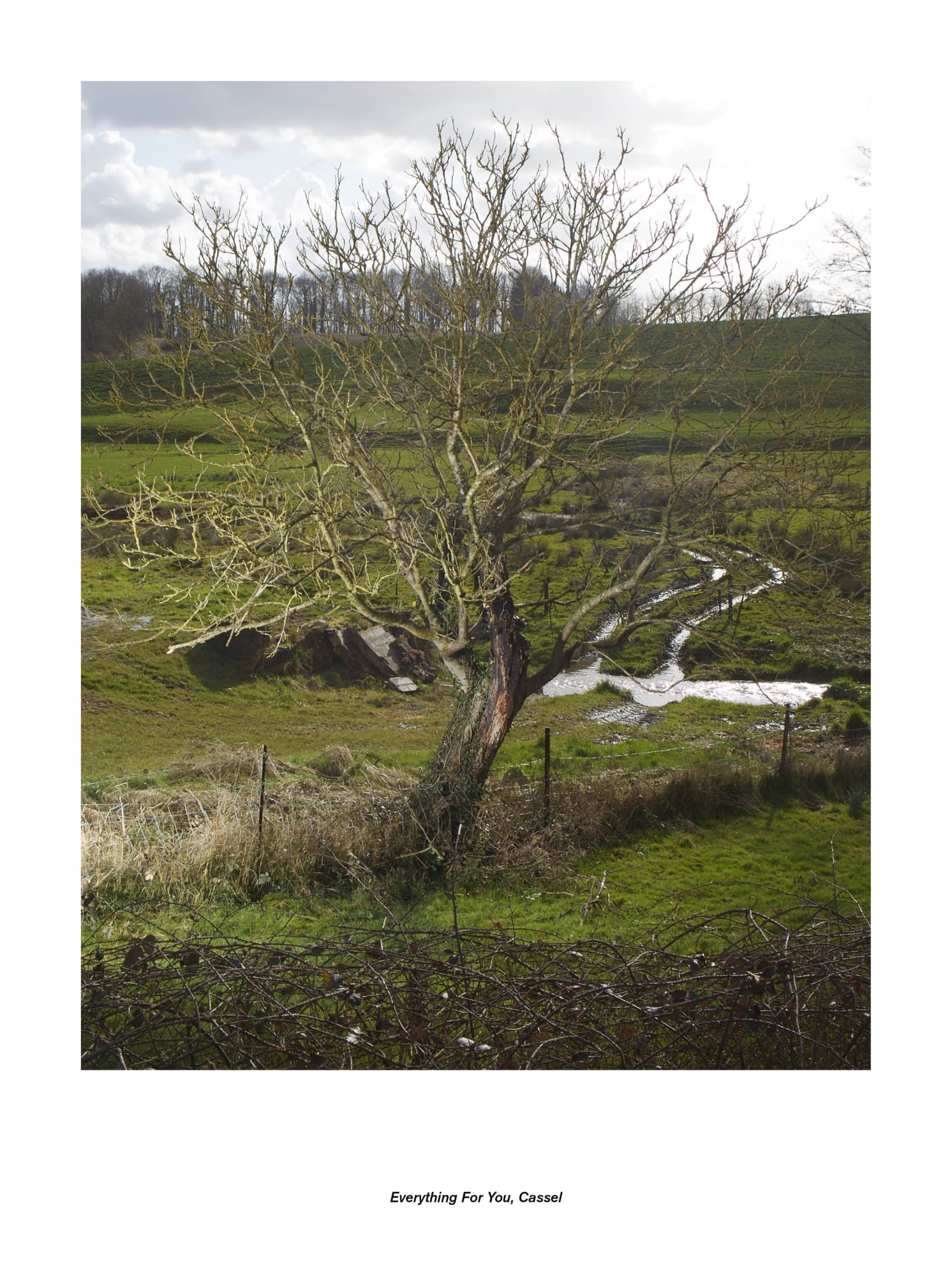 Jan De Cock Exhibition Everything For You, Calais