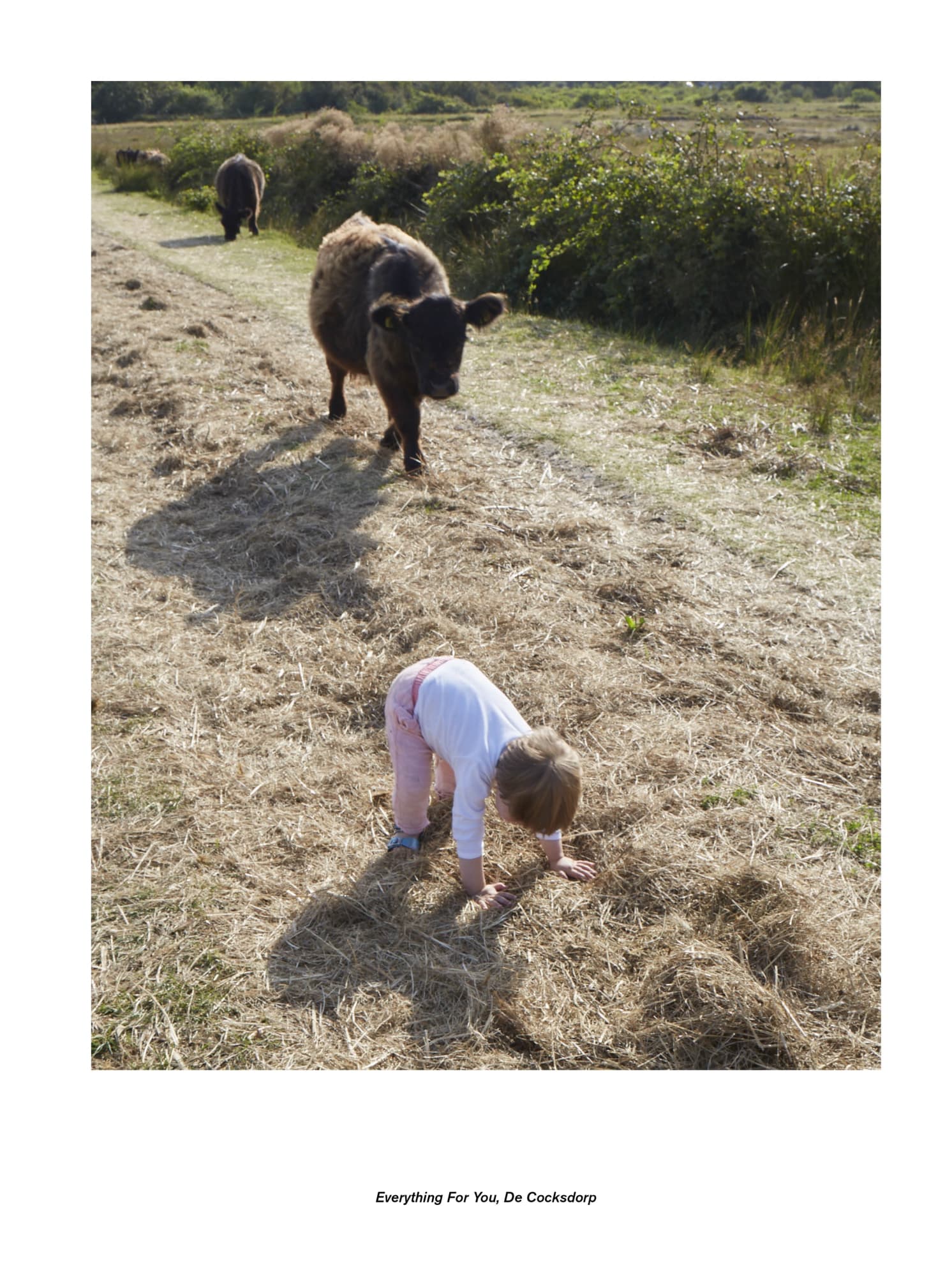 Jan De Cock Exhibition, Everything For You Decocksdorp