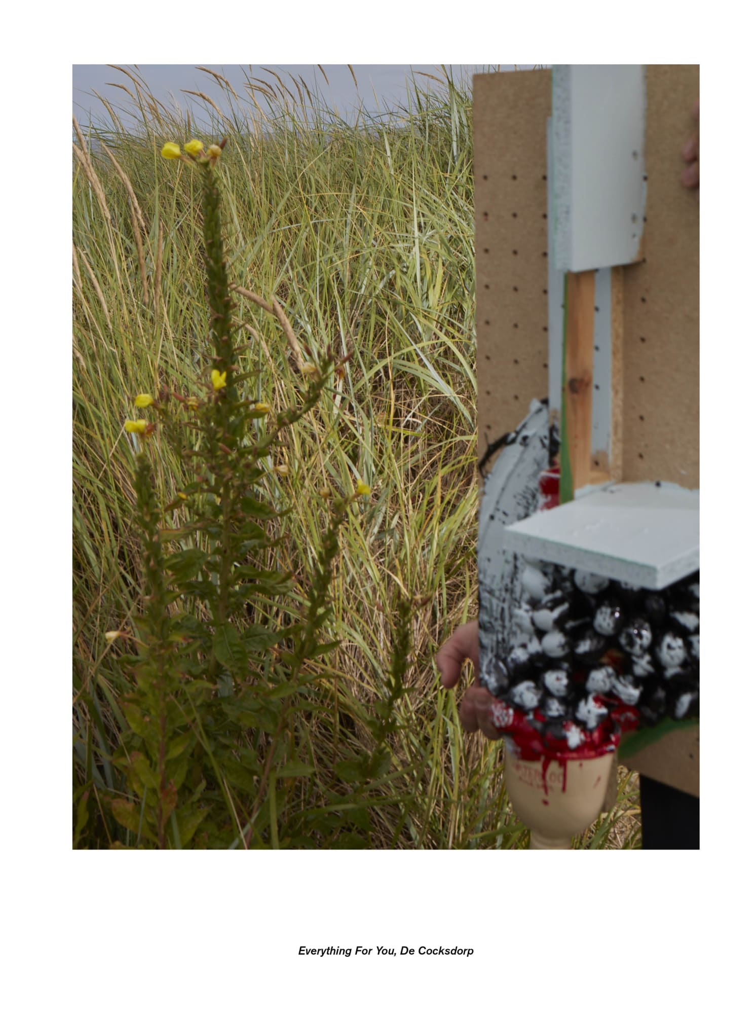 Jan De Cock Exhibition, Everything For You Decocksdorp