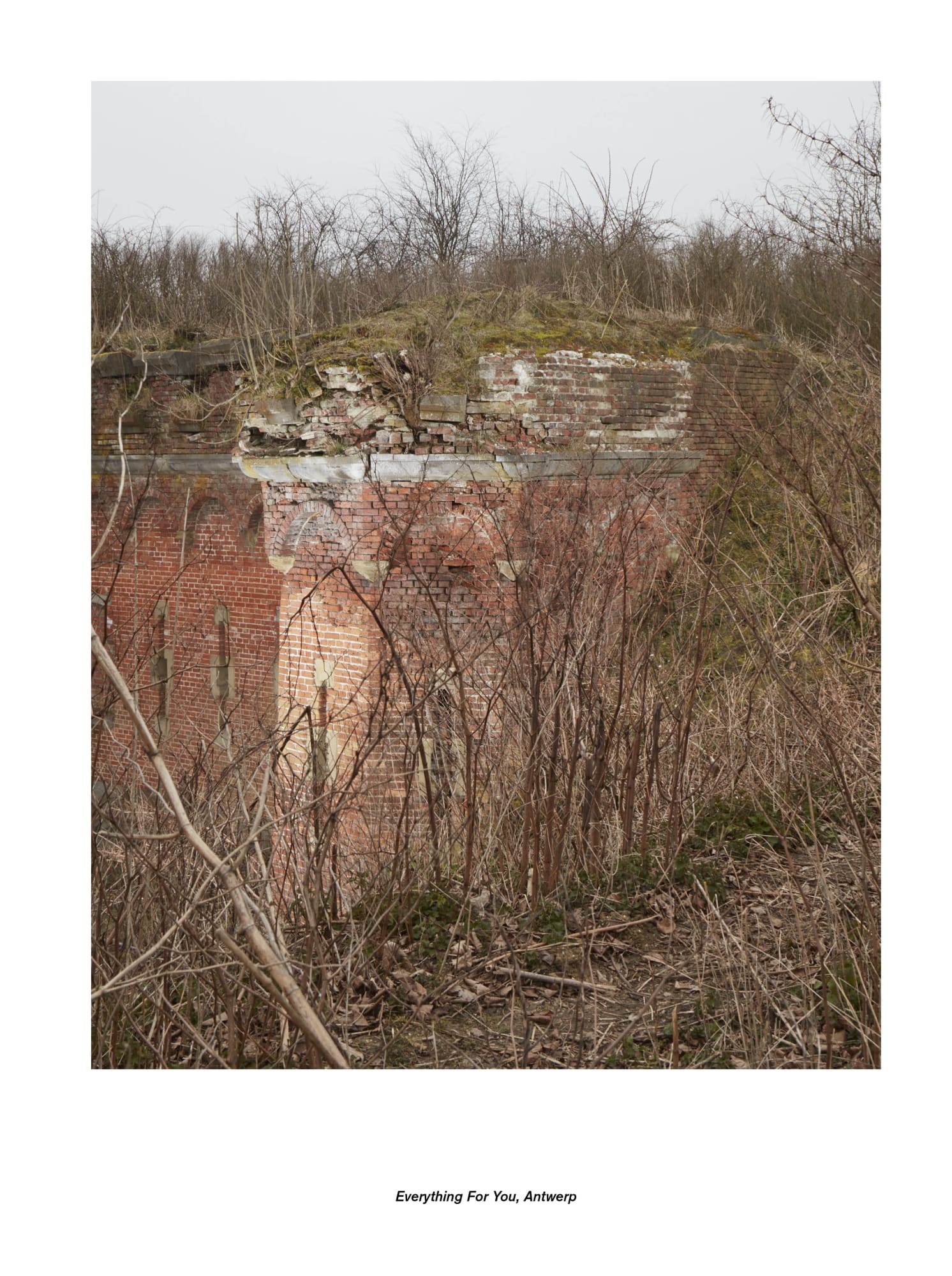 Jan De Cock Exhibition Everything For You, Antwerp