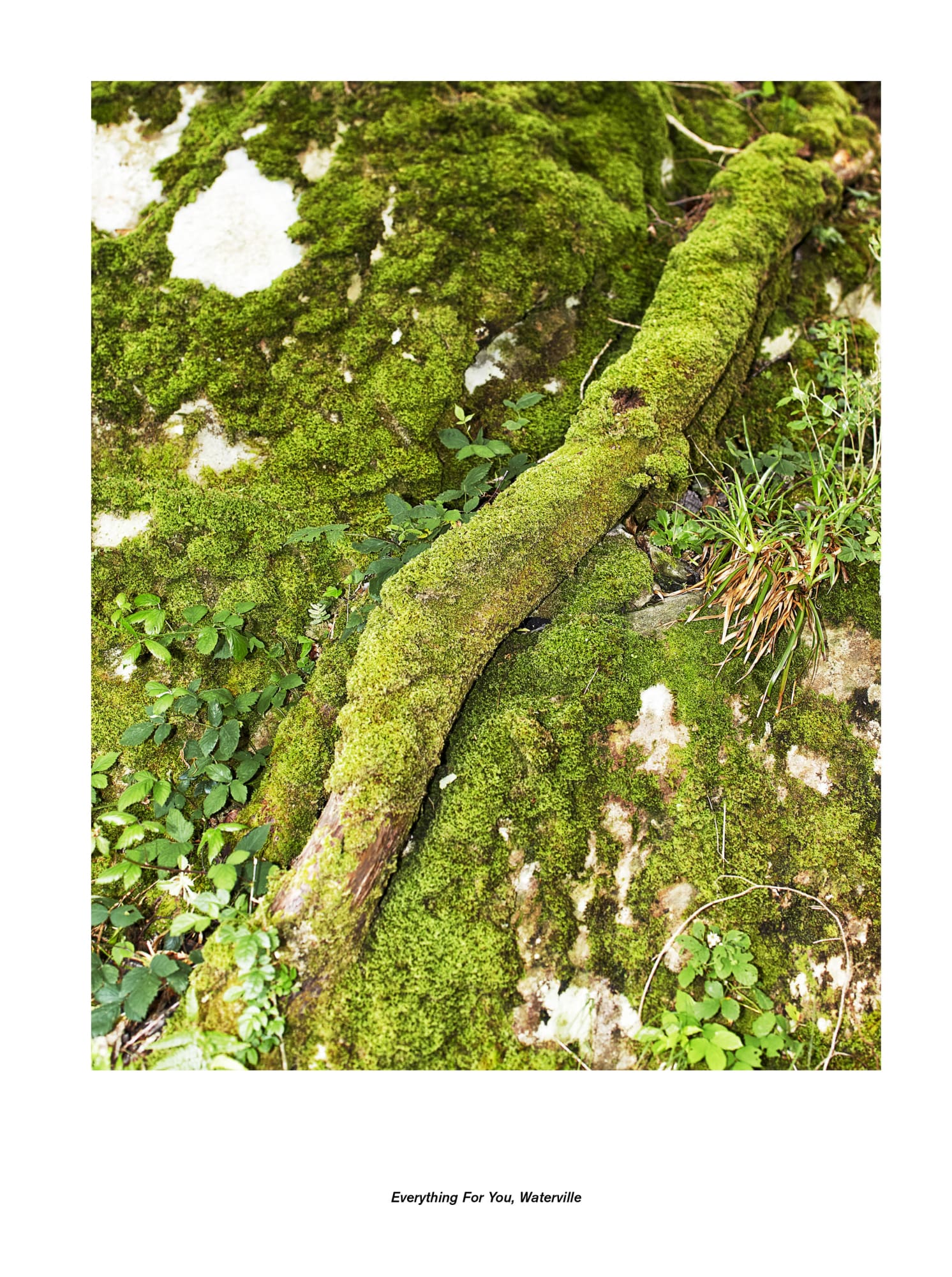 Jan De Cock Exhibition, Everything For You Waterville