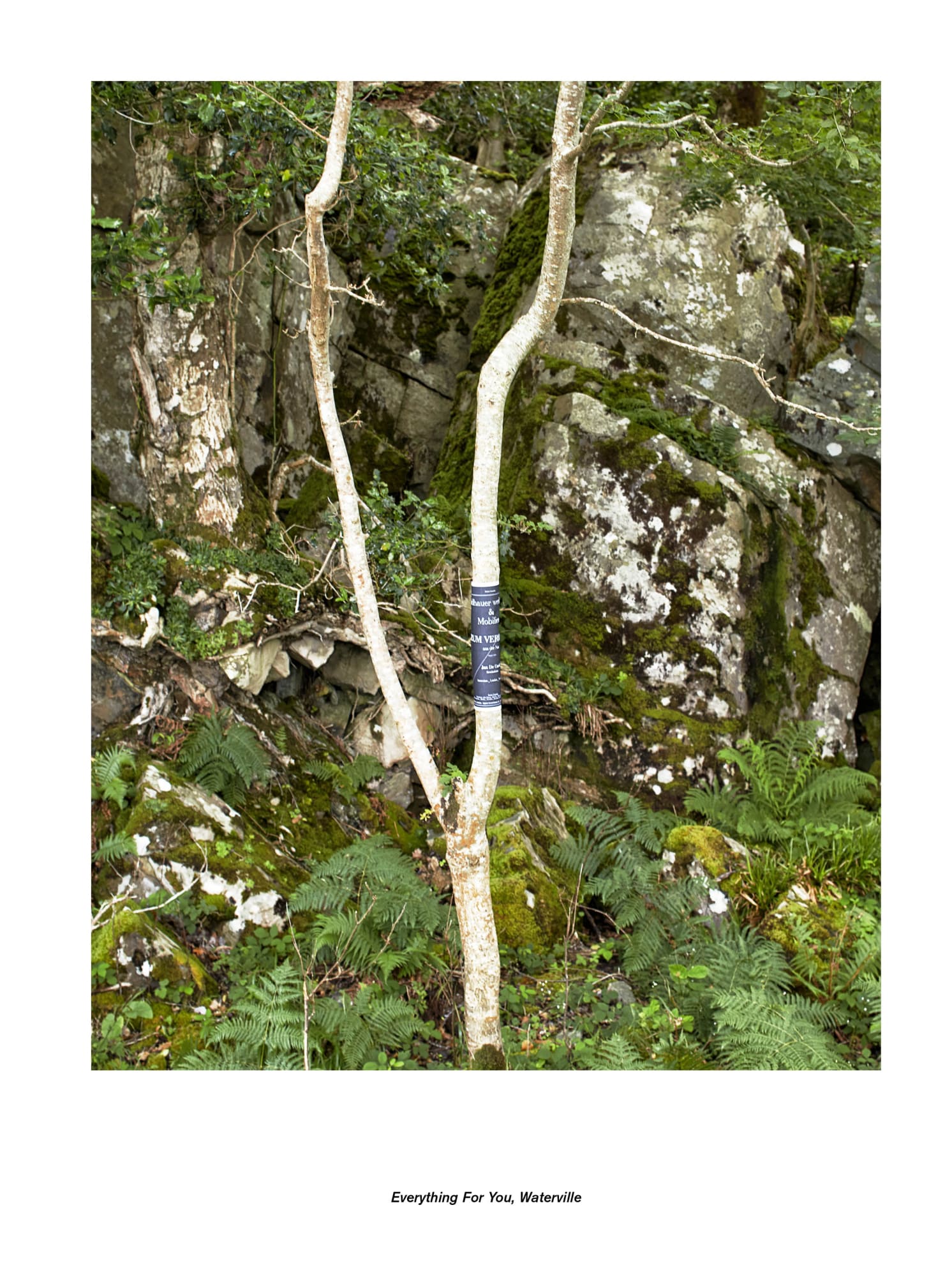 Jan De Cock Exhibition, Everything For You Waterville