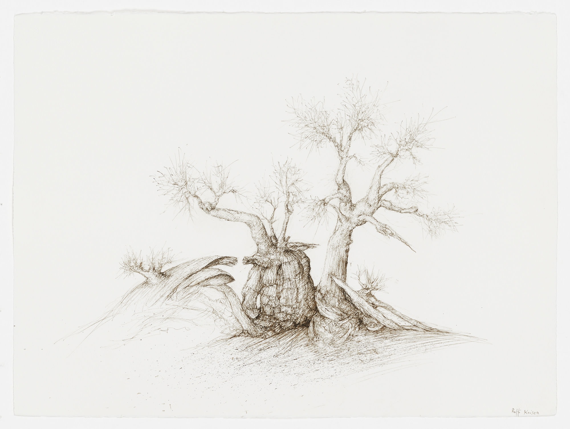 #021674 RAFFI KAISER Landscape Ink on paper 57 x 76 cm