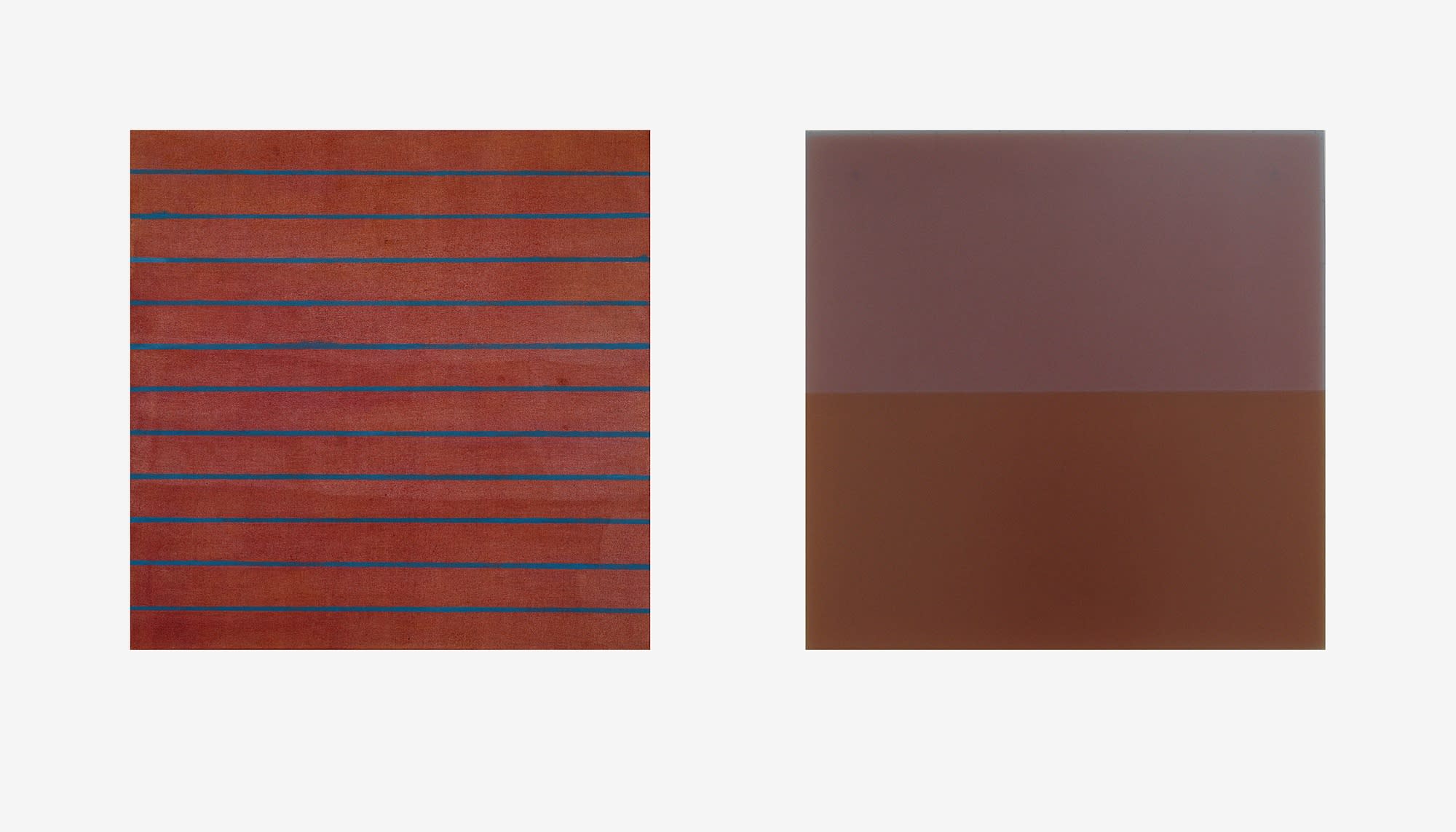 seminoha-iro (cicada wing colour)