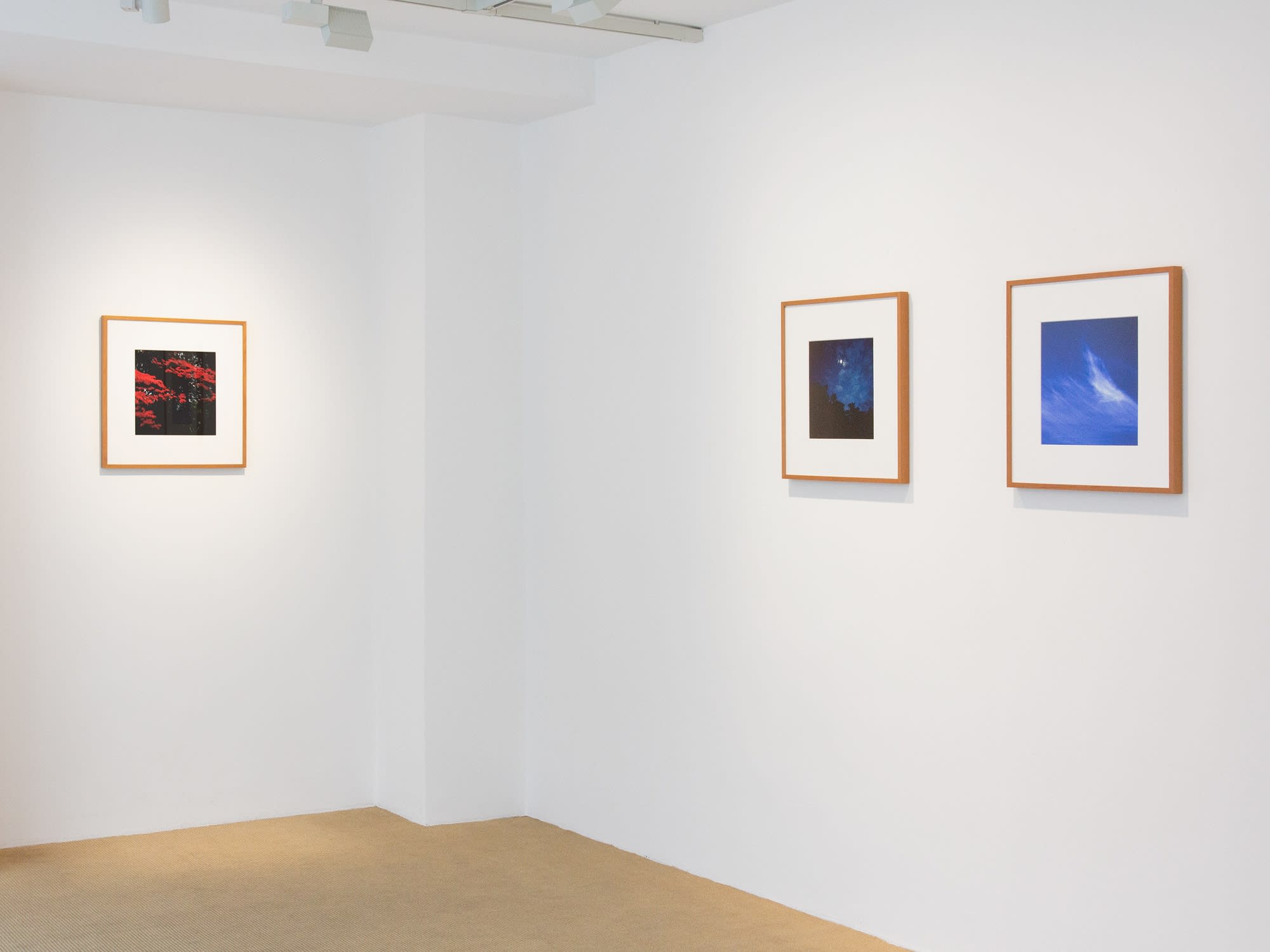 Peter-Cornell Richter