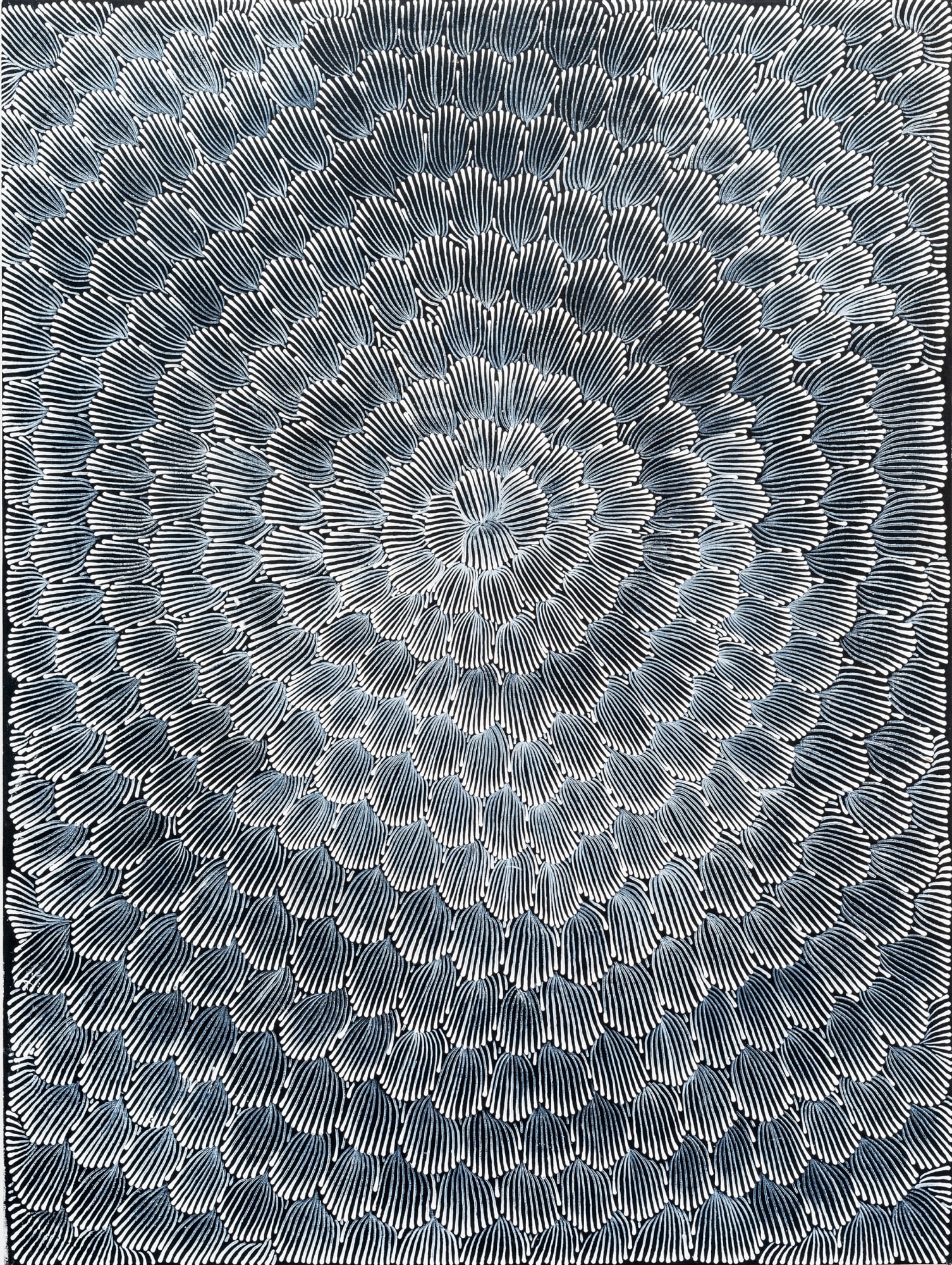 Joy Kngwarre Jones, Enteebra, 2015