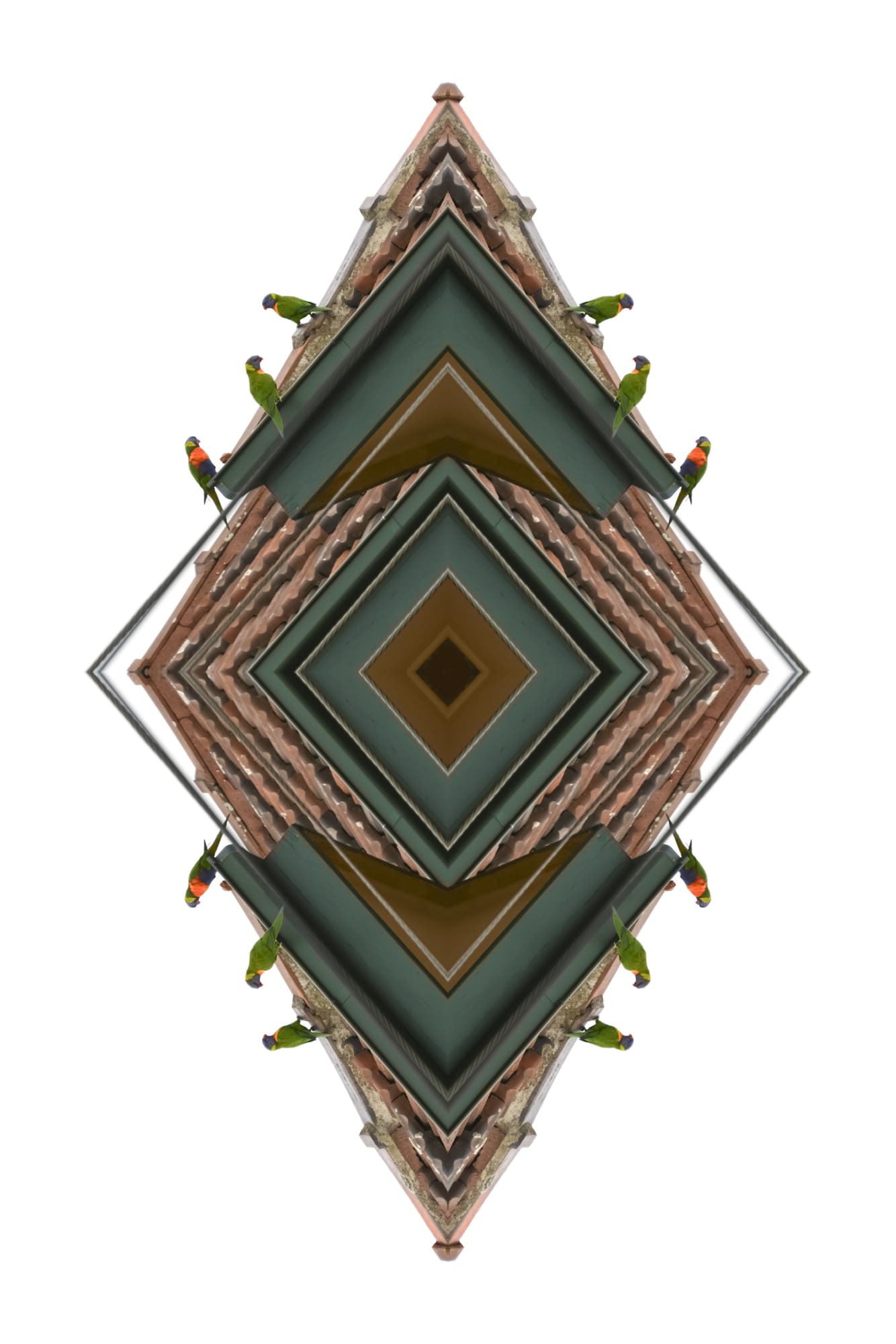 Kent Morris, Rainbow Lorikeet, 2017