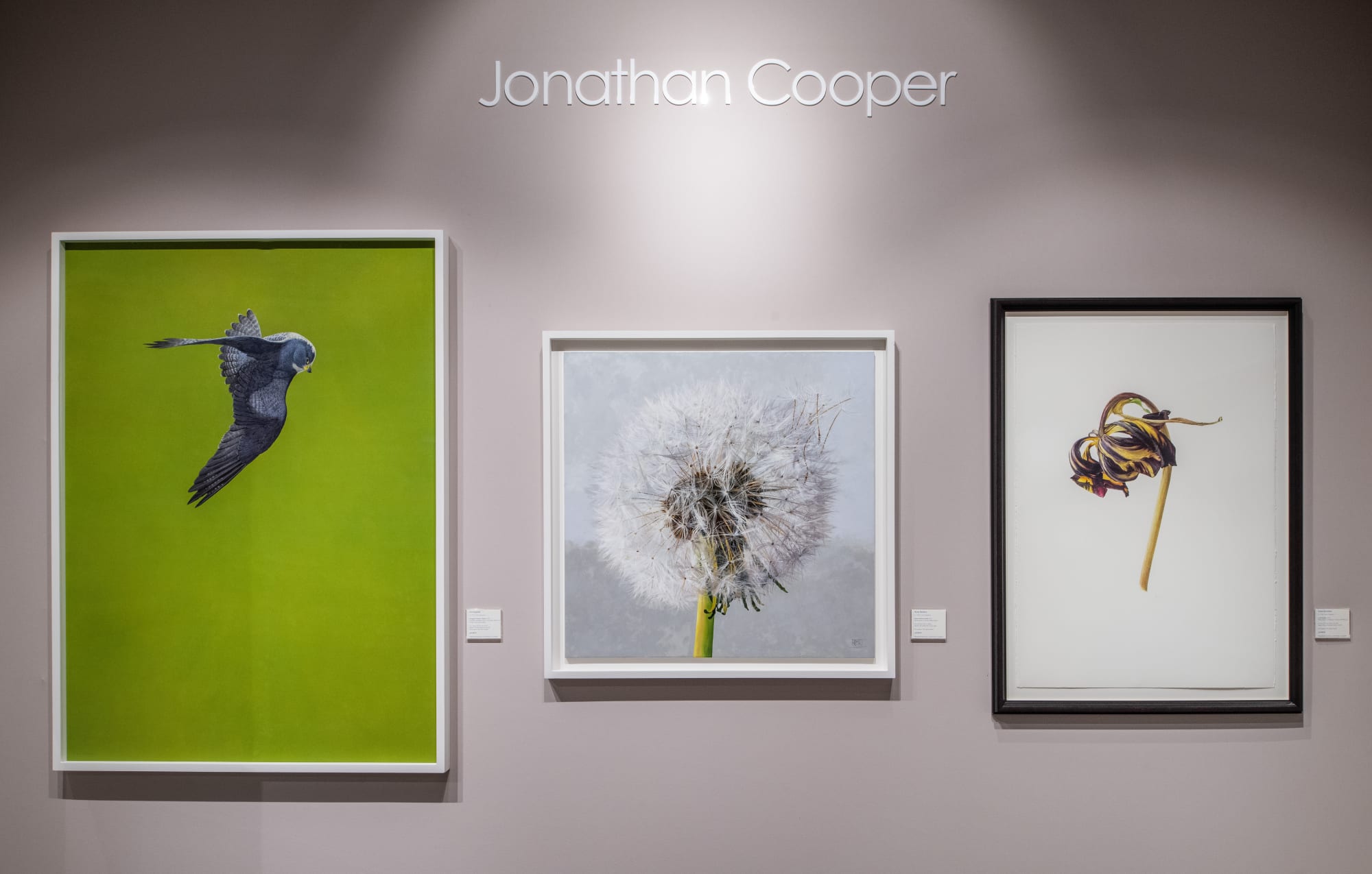 The Treasure House Fair | Stand 125