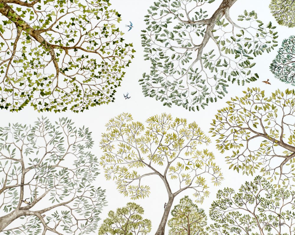 A Good Tree can Lodge Ten Thousand Birds : Celebrating the wonder of trees