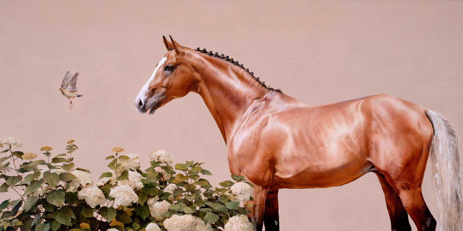 Coming Soon: Joseph Black | Fragments and Form