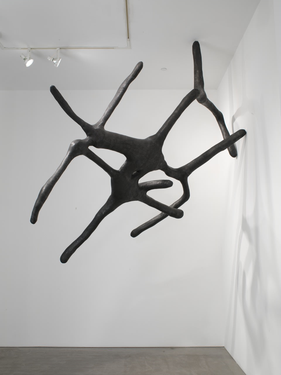 Robert Miller Gallery