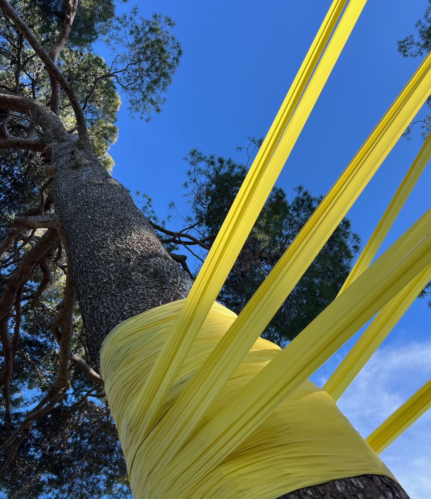 Joseph La Piana, Frequency, Pines Anchor , 2024