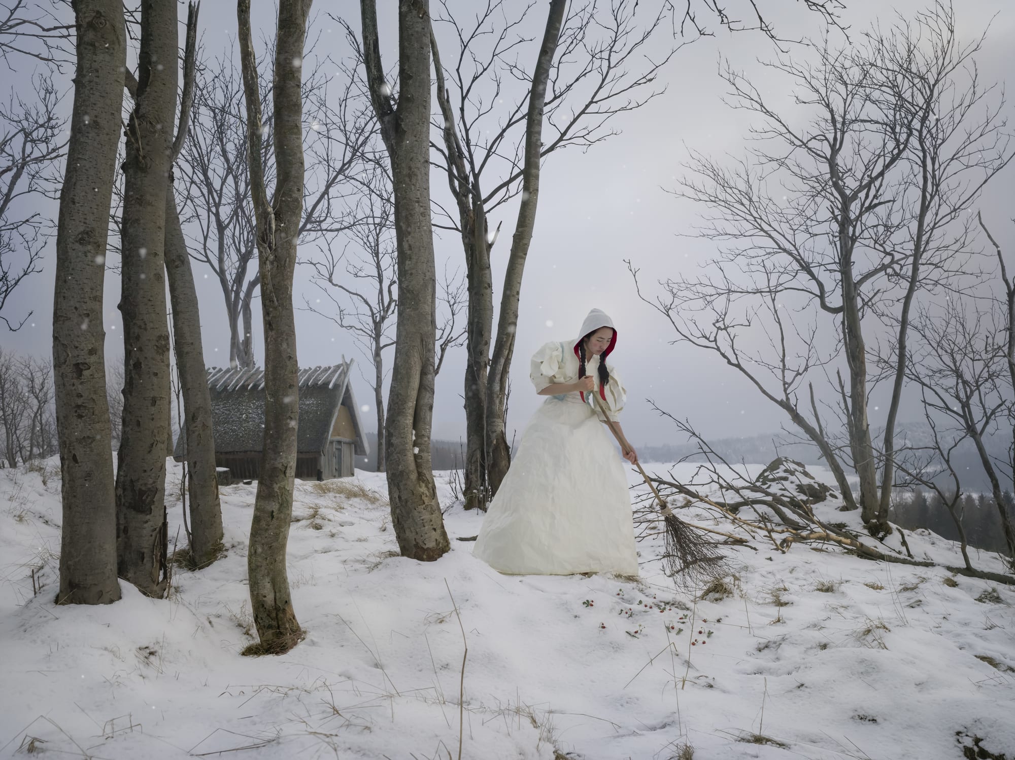 Katerina Belkina, Auspice, 2019