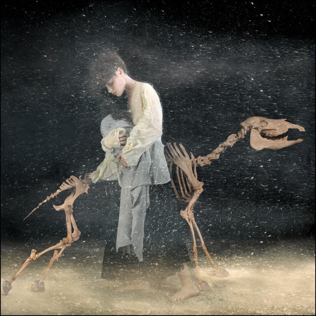 A Midwinter Night's Dream