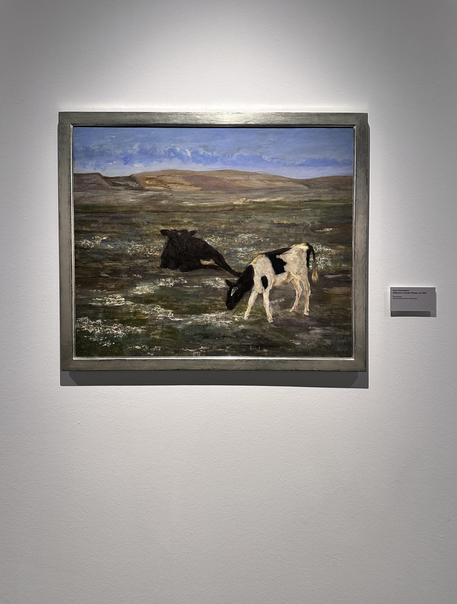 Anna Gerresheim Kälbchen in Darßer Wiesen, um 1905