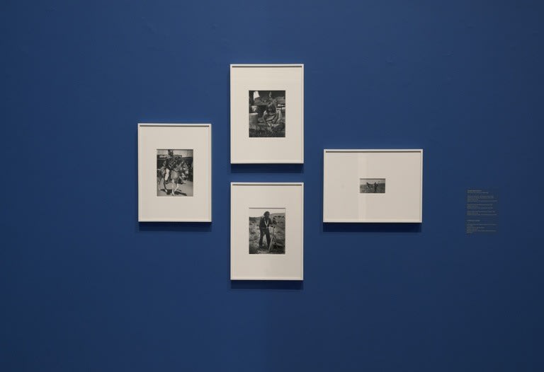 Jeffrey Gibson, WHEN FIRE IS APPLIED TO A STONE IT CRACKS