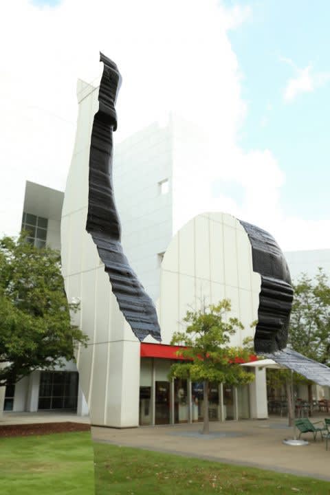 Glenn Kaino, With Arms Drawn: Glenn Kaino and Tommie Smith