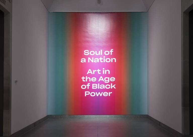 Soul of a Nation: Art in the Age of Black Power