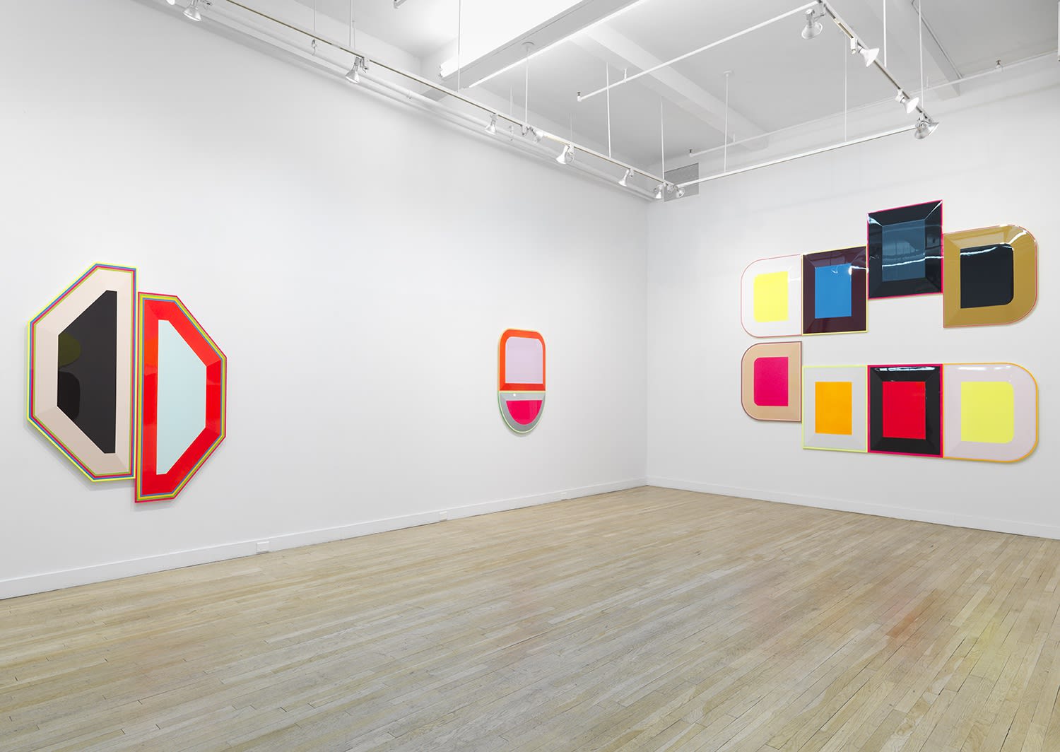 Beverly Fishman, DOSE, Curated by Nick Cave