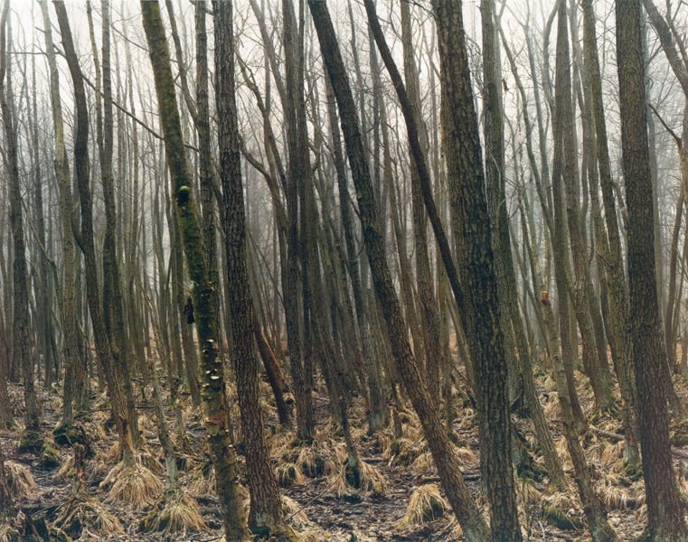 Yannick Demmerle, New Work