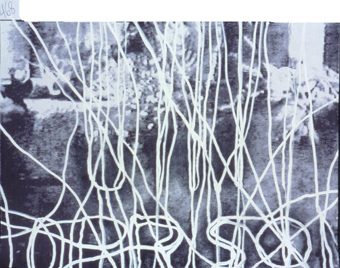 Jay Heikes, Kill Yr Idols