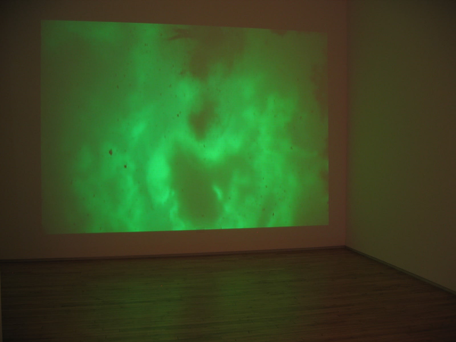 Melanie Schiff, Underwater Photographer