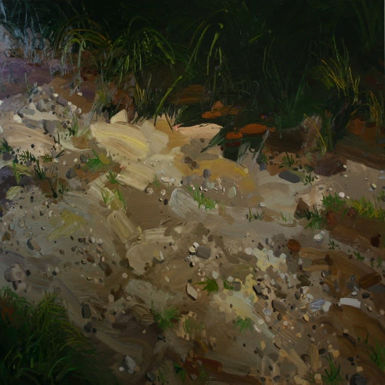 Claire Sherman, Slow Pan